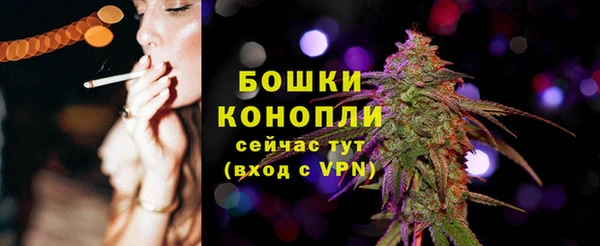 твердый Богданович