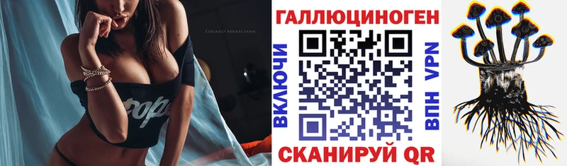 Псилоцибиновые грибы Psilocybe  Няндома 